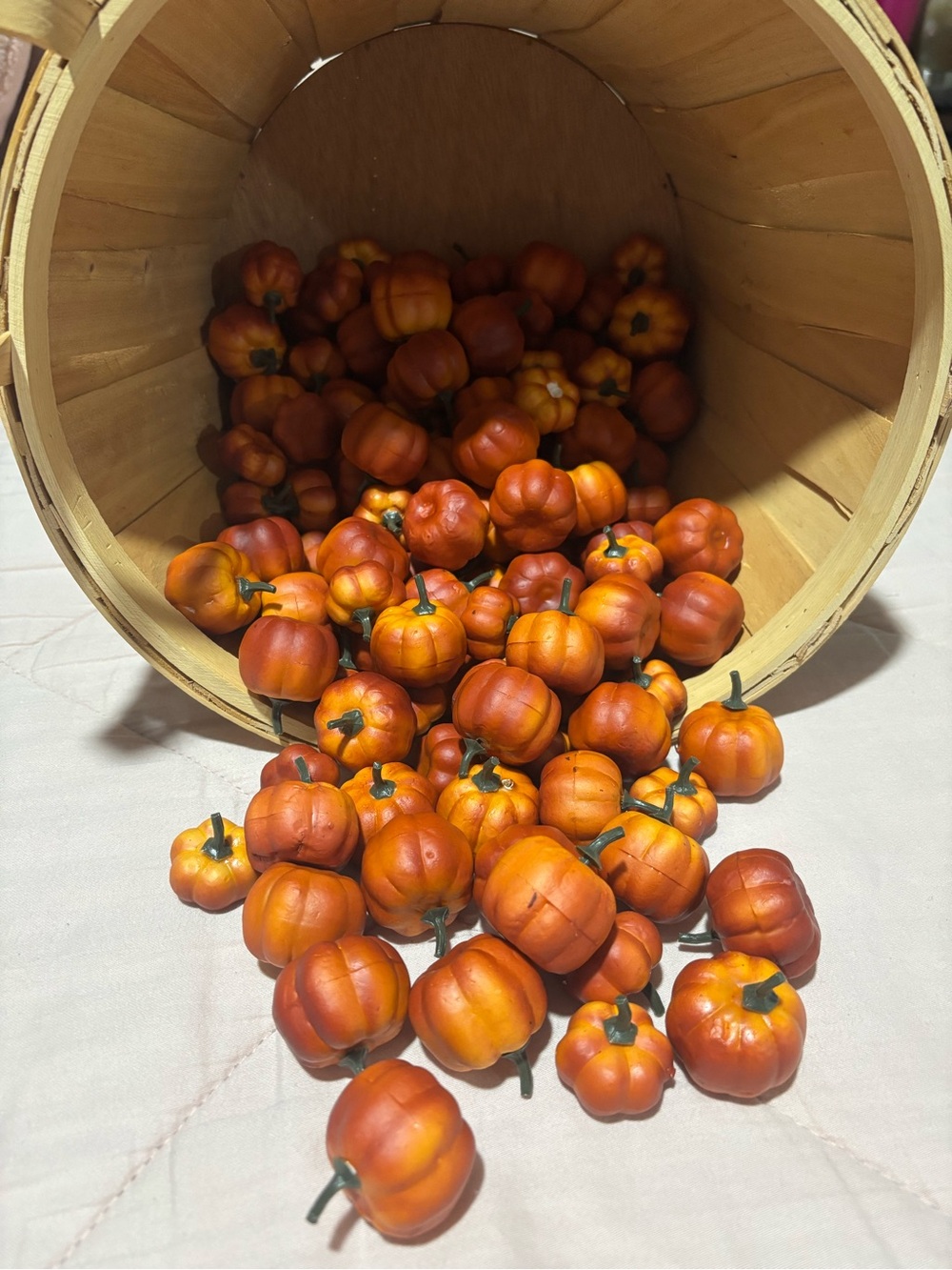 143 Mini Pumpkins π